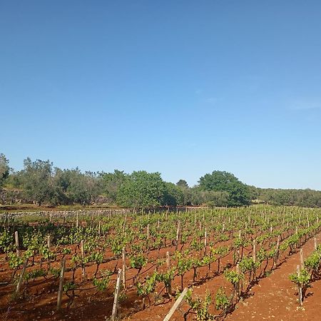 سان فيتو دي نورماني Masseria Le Betulle المظهر الخارجي الصورة